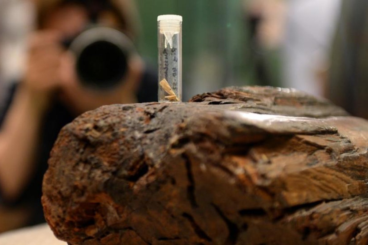 La escultura de madera más antigua del mundo podría tener incluso más años de lo que se creía
