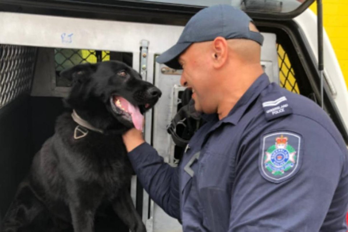 Australia: el emotivo reencuentro entre un policía y su perro héroe