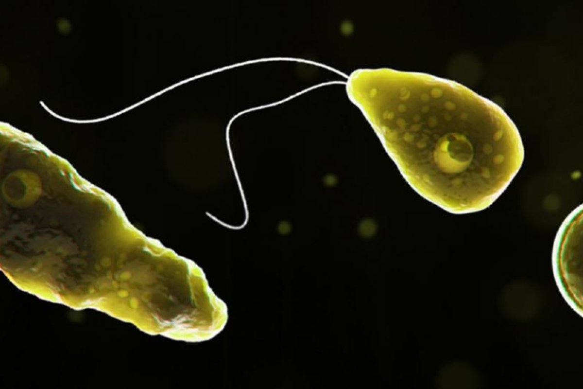 Alertan sobre una ameba 'comecerebros' en el suministro de agua de ocho ciudades de Texas y un ayuntamiento declara zona de desastre