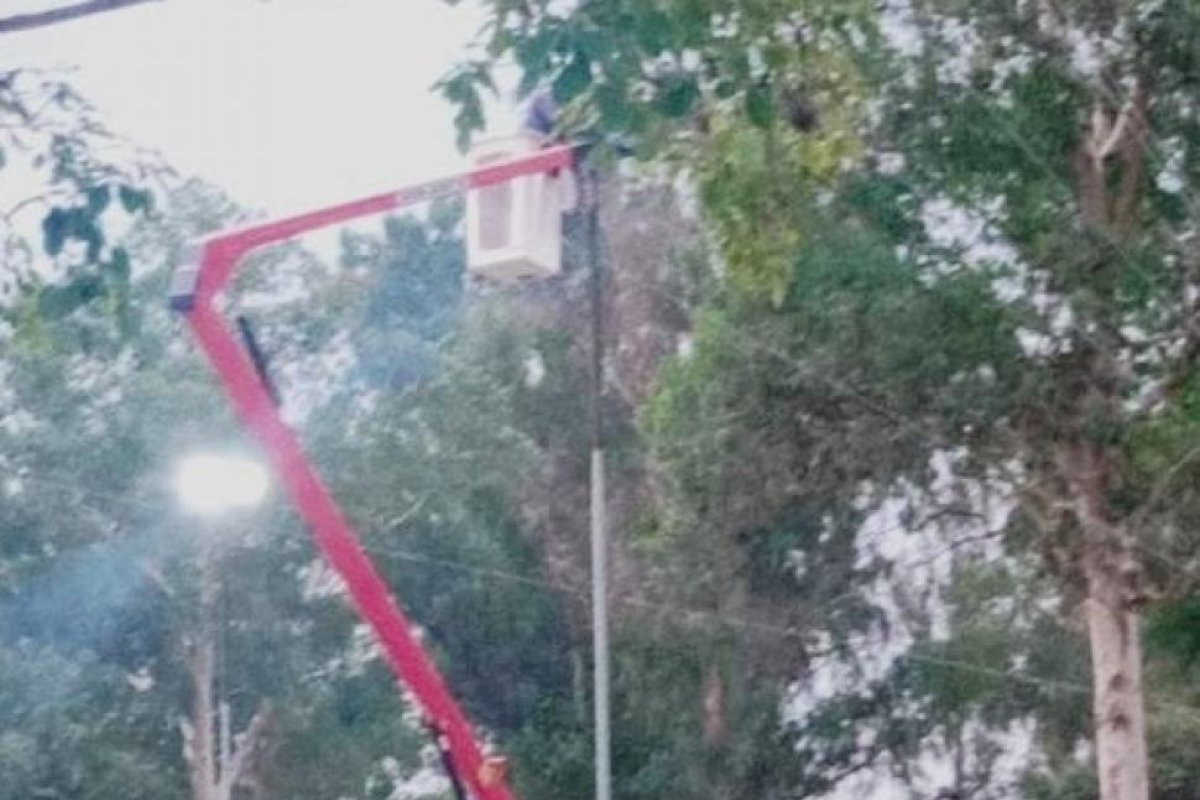 Electrotecnia municipal realiza la reparación de tableros eléctricos y reposición de alumbrado públicos en el Parque Martín Miguel de Güemes