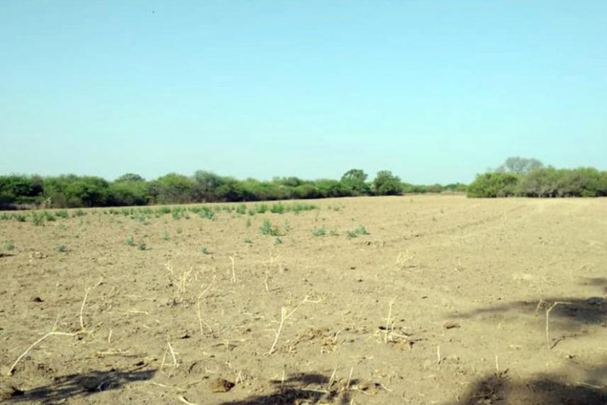 Preocupante situación de pequeños productores por la falta de lluvia