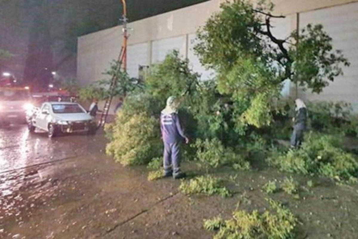 Trabajos en distintas áreas ante la caída de árboles realizadas por operarios de Servicios Públicos Municipal de Las Termas de Río Hondo