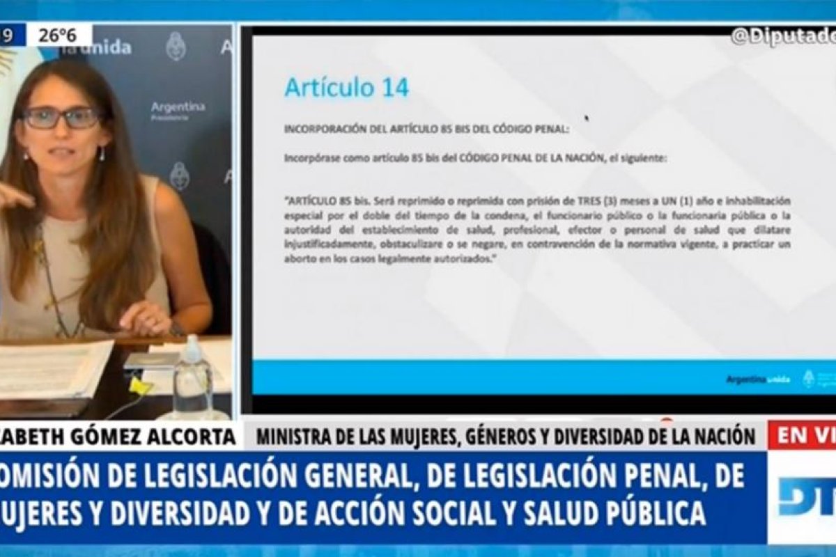 Gómez Alcorta: "Con la legalización el sistema de salud se desestresará"