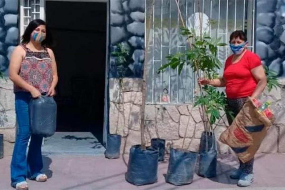 Se intensifica la campaña eco canje en la Capital