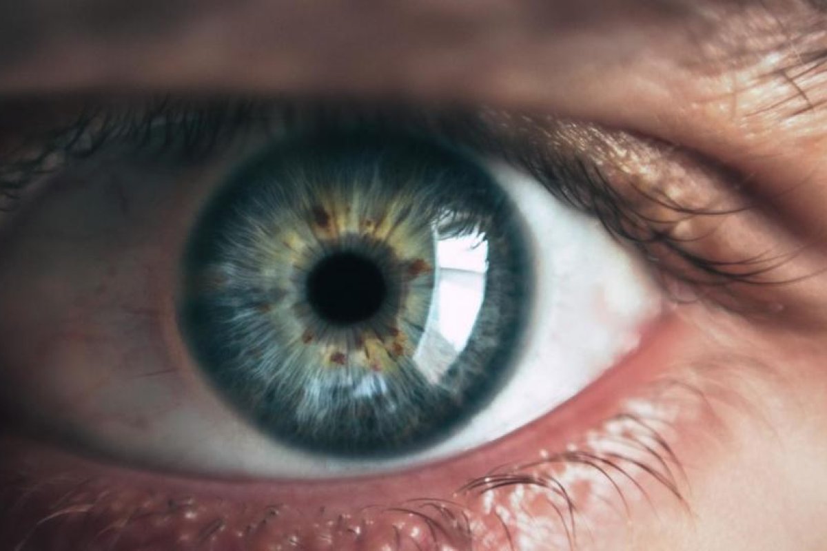 Descubren que la terapia génica de un ojo mejora inesperadamente el funcionamiento del otro