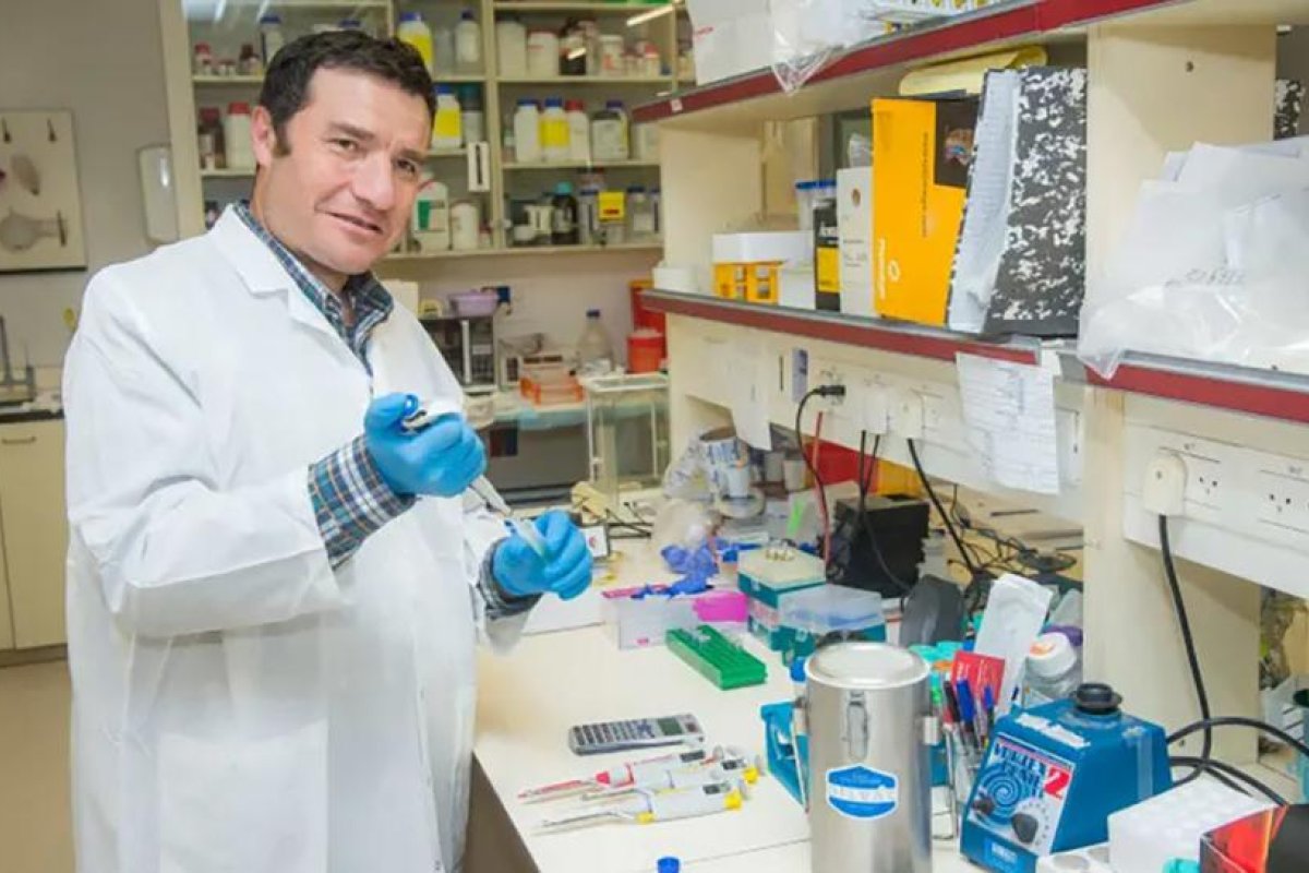 Científicos logran retrasar el envejecimiento en ratones y esperan que el método pueda funcionar en humanos