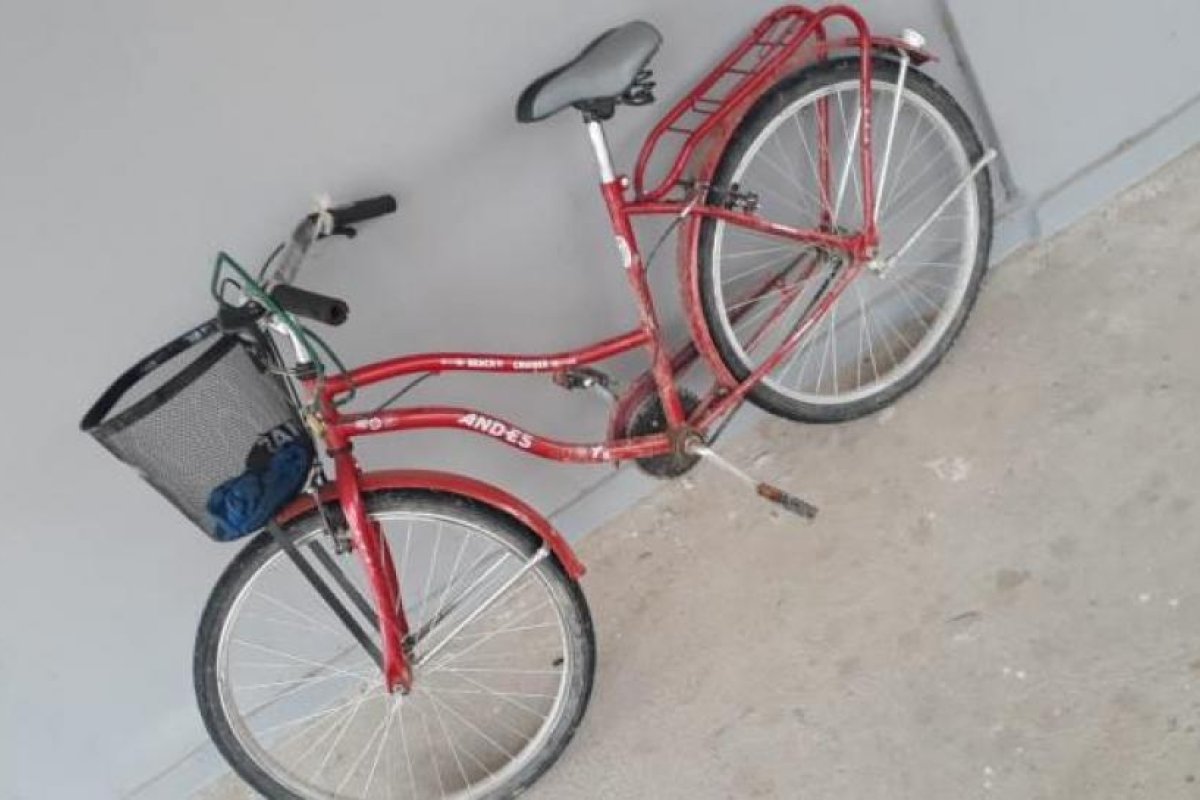 Barrio Soberanía Nacional: Reconoció a quien le robó la bicicleta y la policía la recuperó