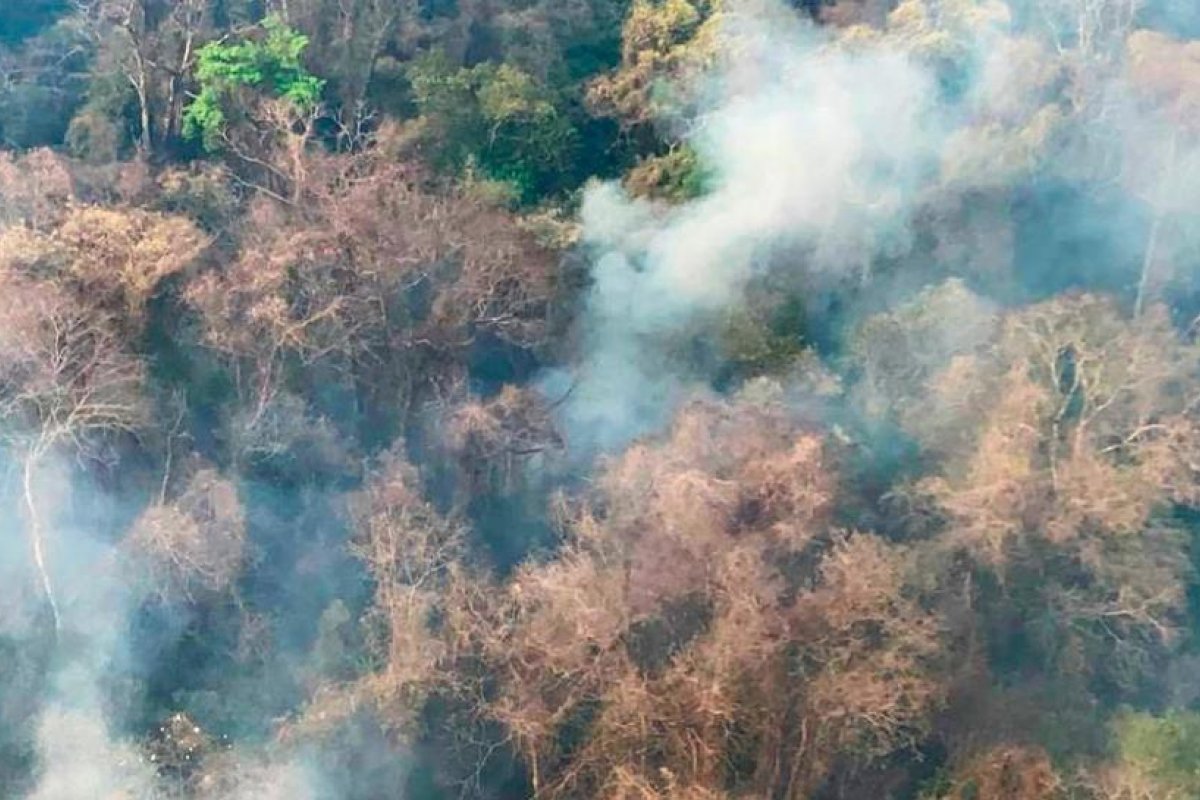 Jujuy, La Rioja y Córdoba mantienen focos activos y se logró extinguir el fuego en Salta