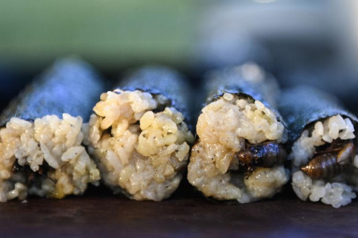 Un chef aprovecha la invasión de cigarras en EE.UU. para preparar un sushi 'especial' y repartirlo de forma gratuita (FOTOS)