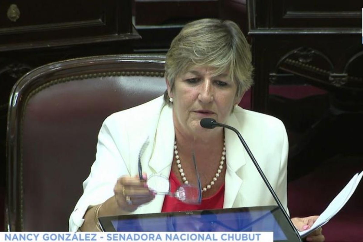 Nancy González: "Hay votos sin definir y expectativa para aprobar el proyecto de IVE"