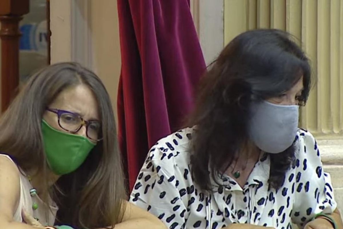 Aborto. Qué dijo Vilma Ibarra, la primera funcionaria del Gobierno en celebrar la votación en Diputados
