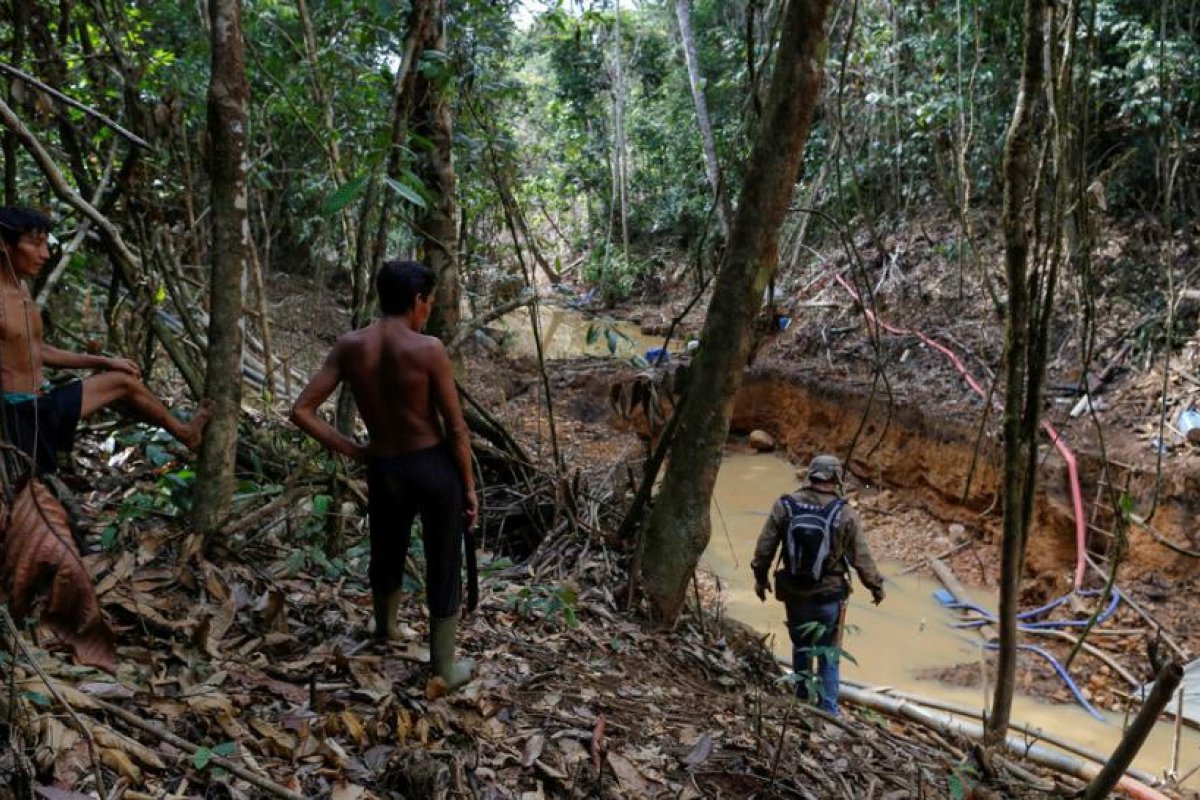 Cómo la masiva invasión de los mineros ilegales golpea a los indígenas yanomami