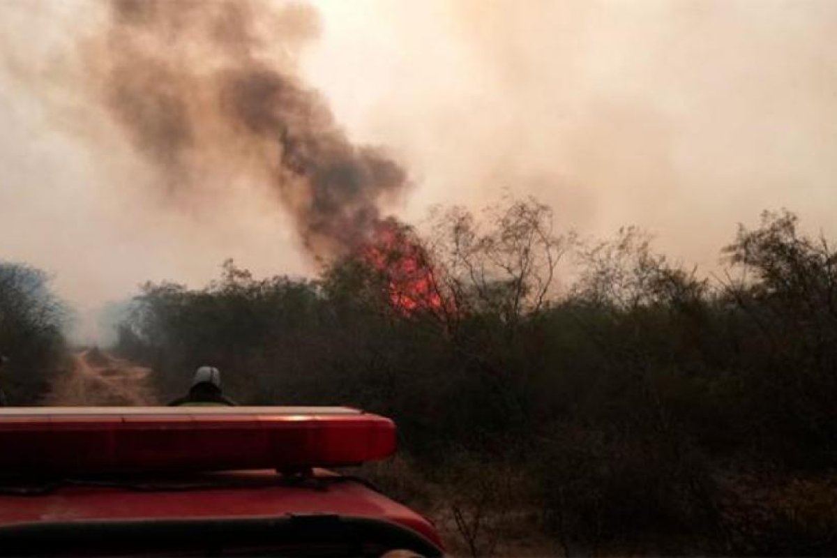 Los incendios también se hicieron presentes en Campo Tacañitas