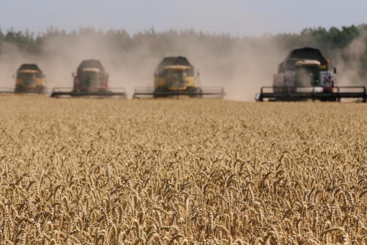 ¿Por el bien de Ucrania?: la UE propone suspender todos los derechos de importación sobre los productos ucranianos