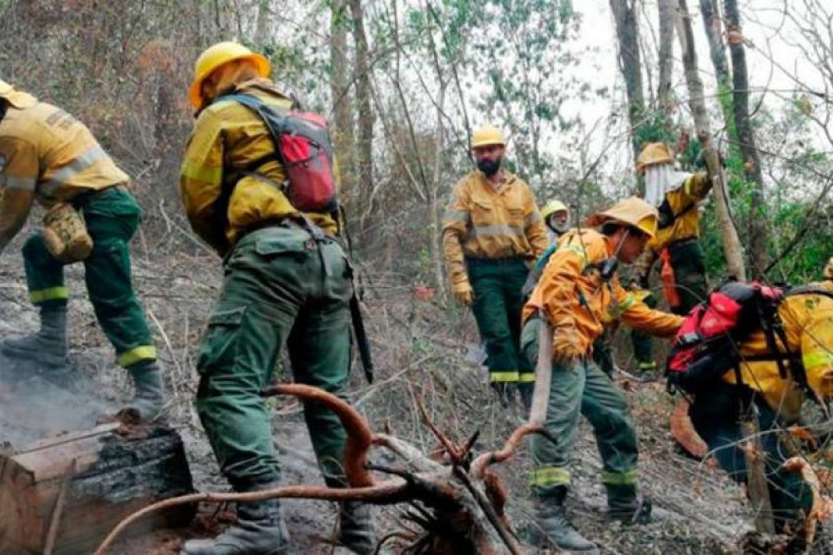 Los incendios forestales ya arrasaron casi mil hectáreas del Parque Nacional Calilegua