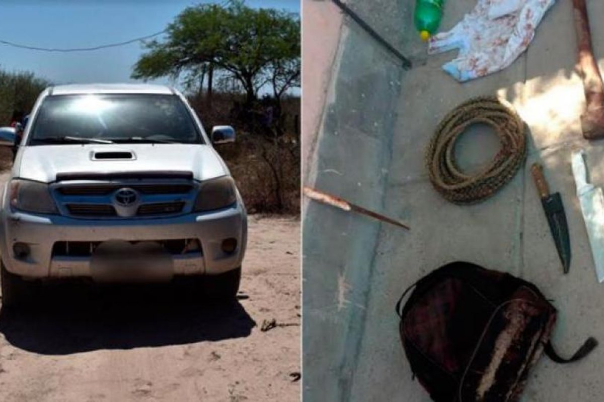 Robaron un animal, lo faenaron al costado de la ruta y escaparon de la Policía