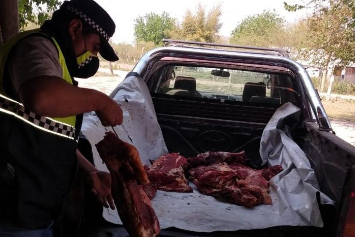 Secuestran más de 400 kilos de carne faenada ilegalmente