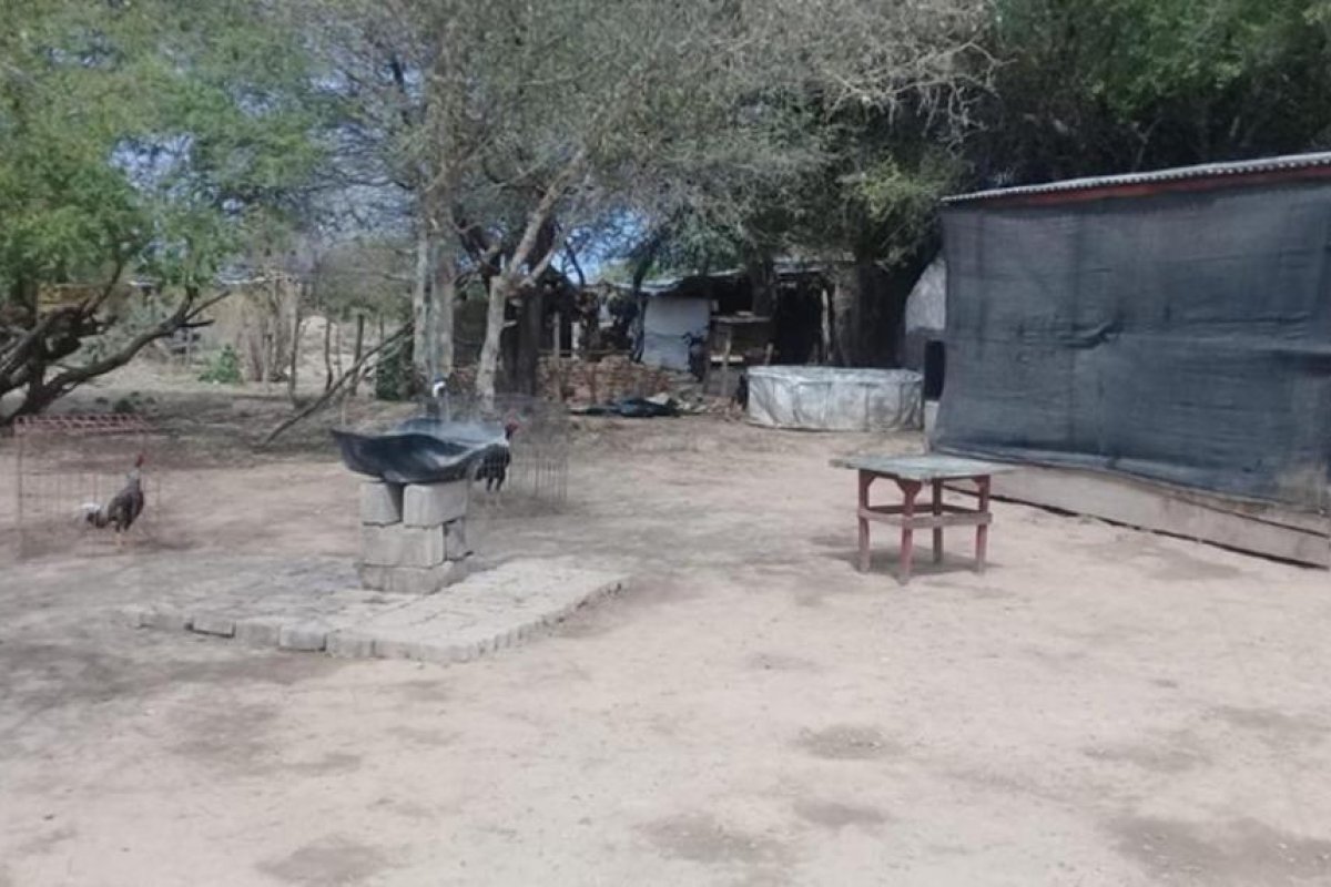 El Bobadal: Ocho “galleros” acabaron presos en una insólita riña prohibida, frustrada por la aparición policial