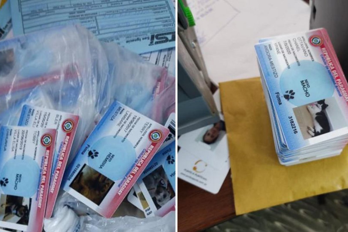 Un allanamiento policial a un local que fabrica cédulas de juguete para mascotas desata una ola de burlas e indignación en Paraguay