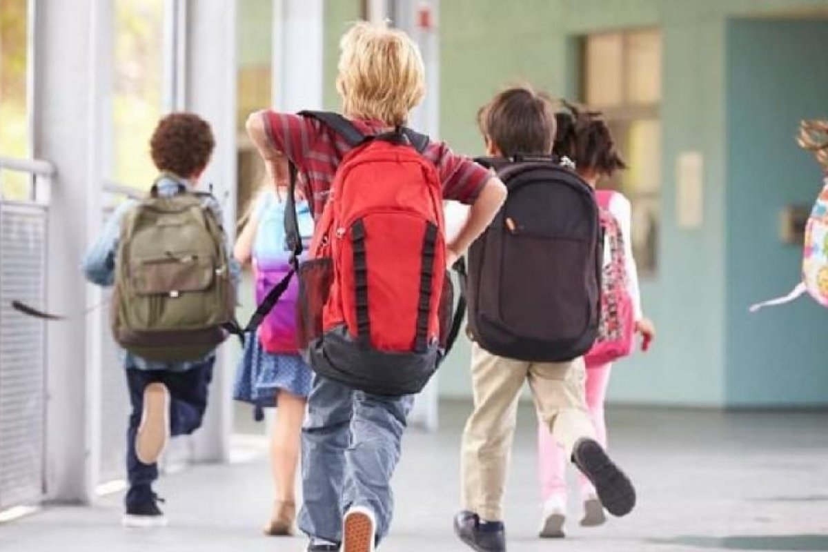 Productos innovadores para el regreso a clases y su efectividad real