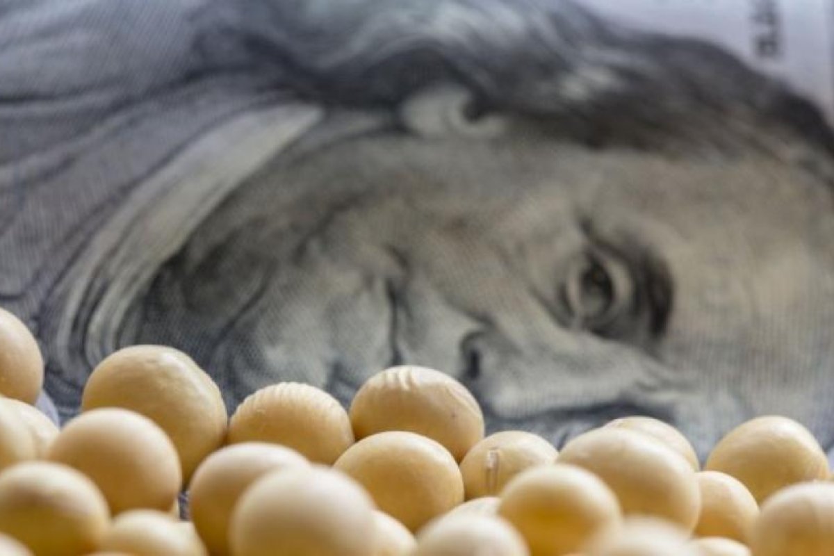 Agrodólares: la baja de retenciones no aceleró todavía la venta de soja de los productores