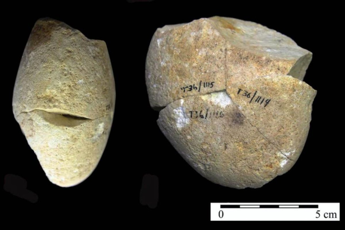 Identifican la herramienta de piedra más antigua conocida hasta ahora: tiene 350.000 años