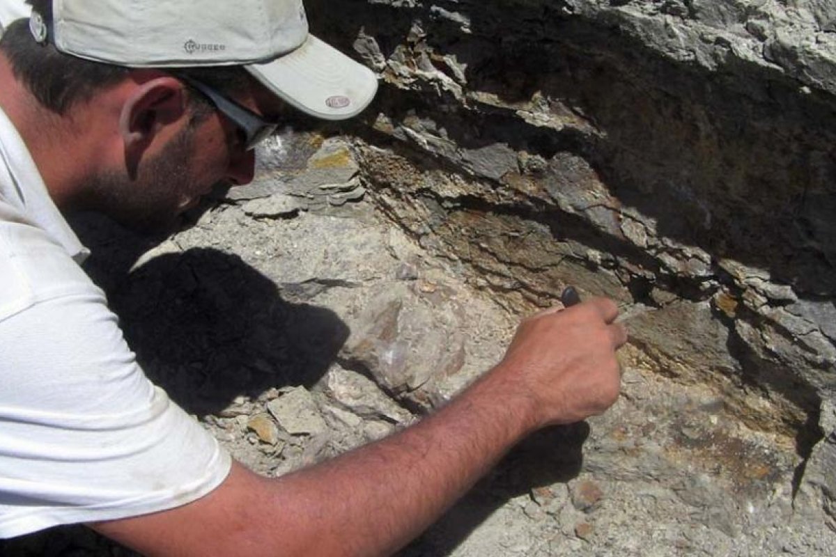 Descubrieron una especie de dinosaurio que ayuda a comprender el período volcánico