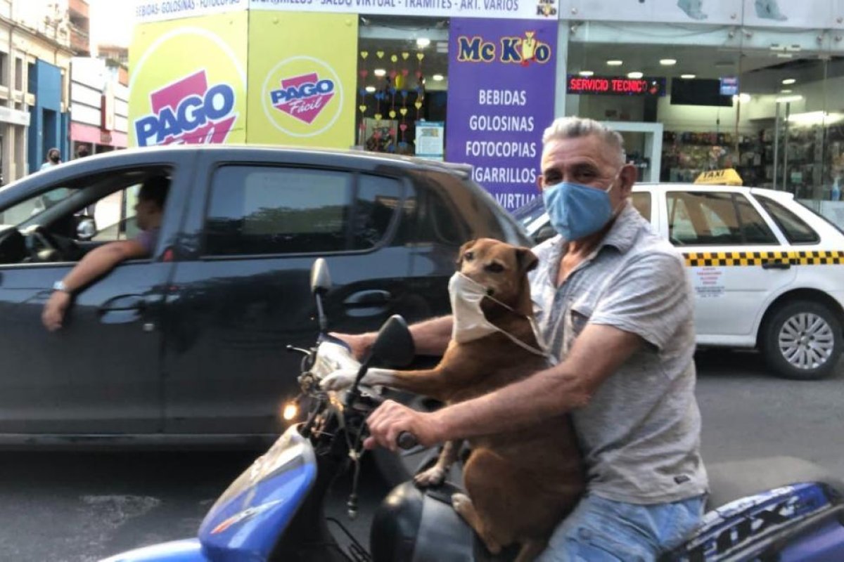 El perro con barbijo y en moto por el centro de Tucumán que se volvió viral