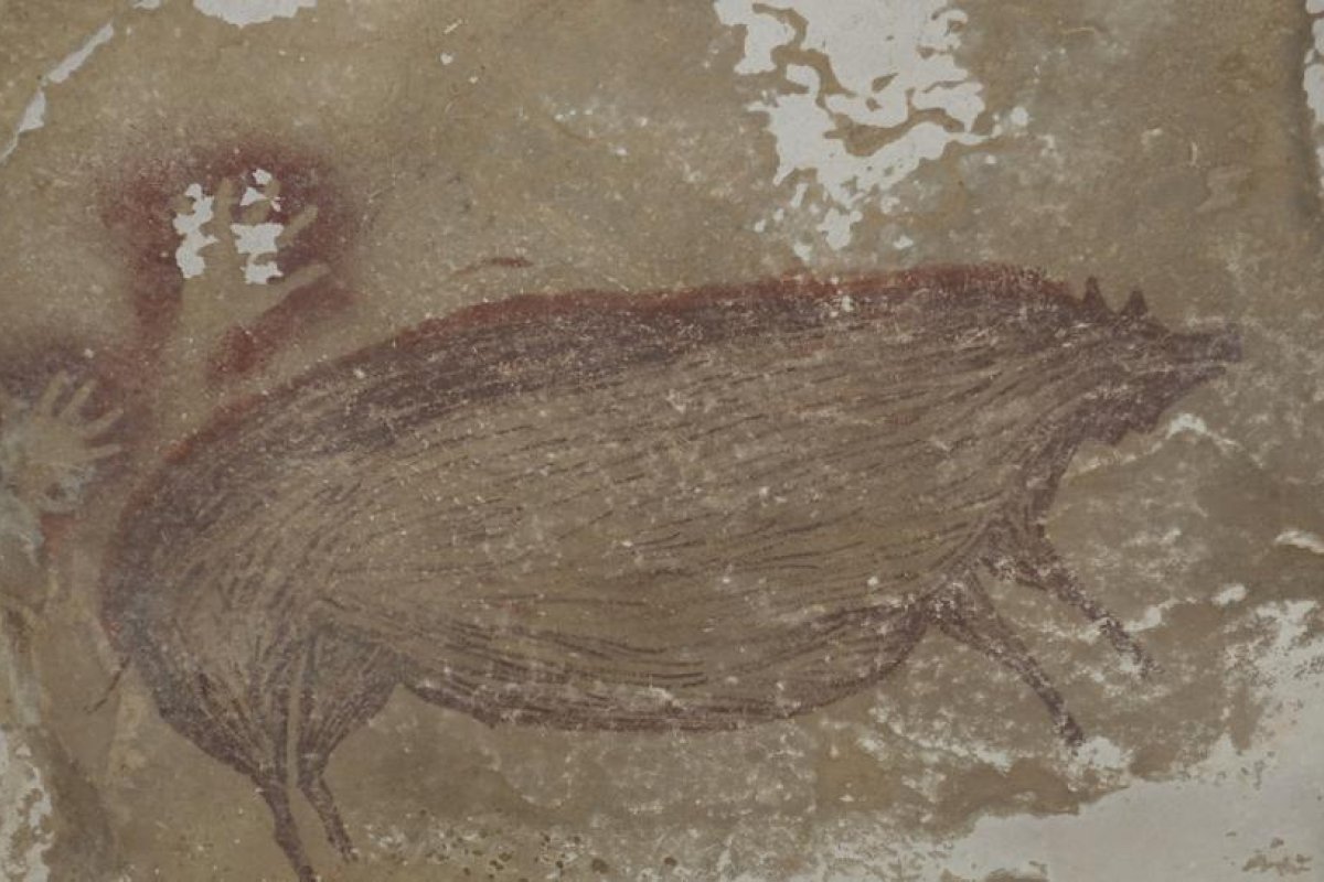 FOTO: Encuentran el arte rupestre más antiguo del mundo, calculado en 45.500 años de antigüedad, en una cueva de Indonesia