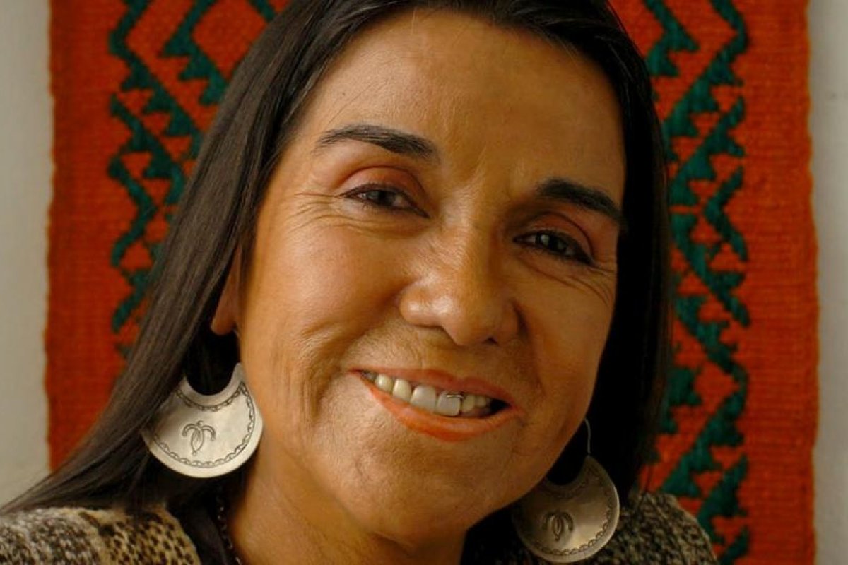 Distinguieron a la mapuche Luisa Calcumil como la artista más representativa de la región