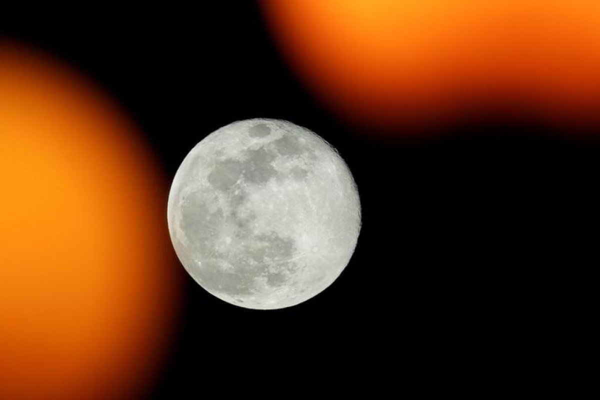 Proponen crear en la Luna un banco de esperma para proteger a la humanidad en caso de una catástrofe