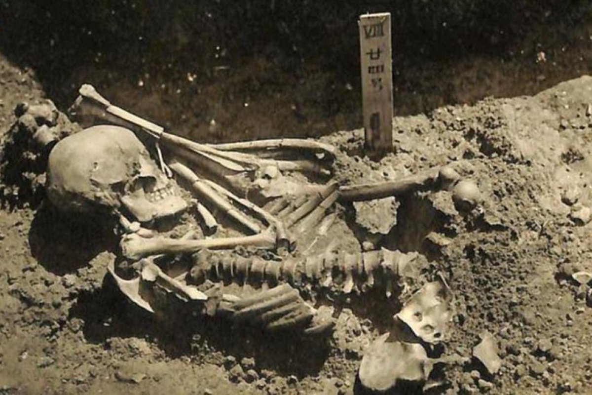 Reconstruyen la muerte violenta de un pescador japonés que fue atacado por un tiburón hace 3.000 años