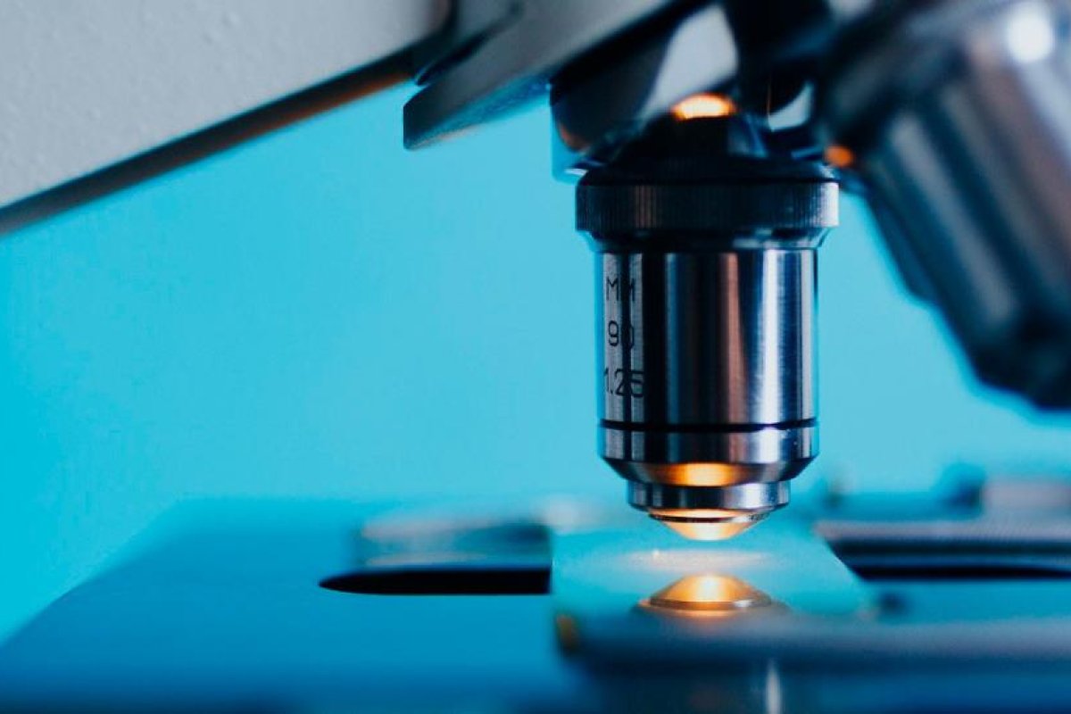 Desarrollan un microscopio capaz de ver a través de un cráneo intacto gracias a "tecnología de próxima generación"