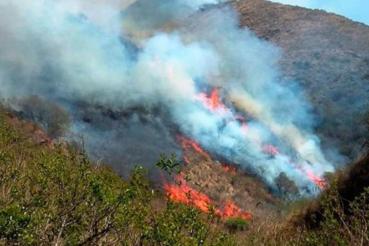 Catamarca: tras varios días de lucha, lograron controlar los incendios en Ambato