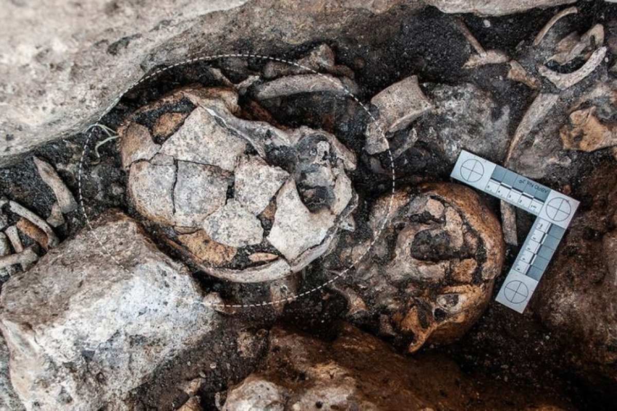 Descubren un cráneo femenino de hace 5.300 años con los primeros indicios conocidos de una cirugía de oído