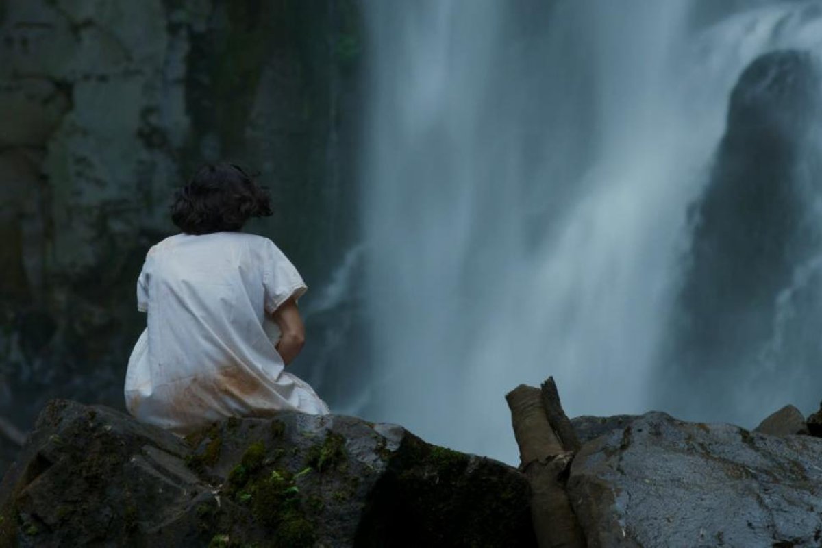 Los que vuelven: terror y venganza en la selva misionera