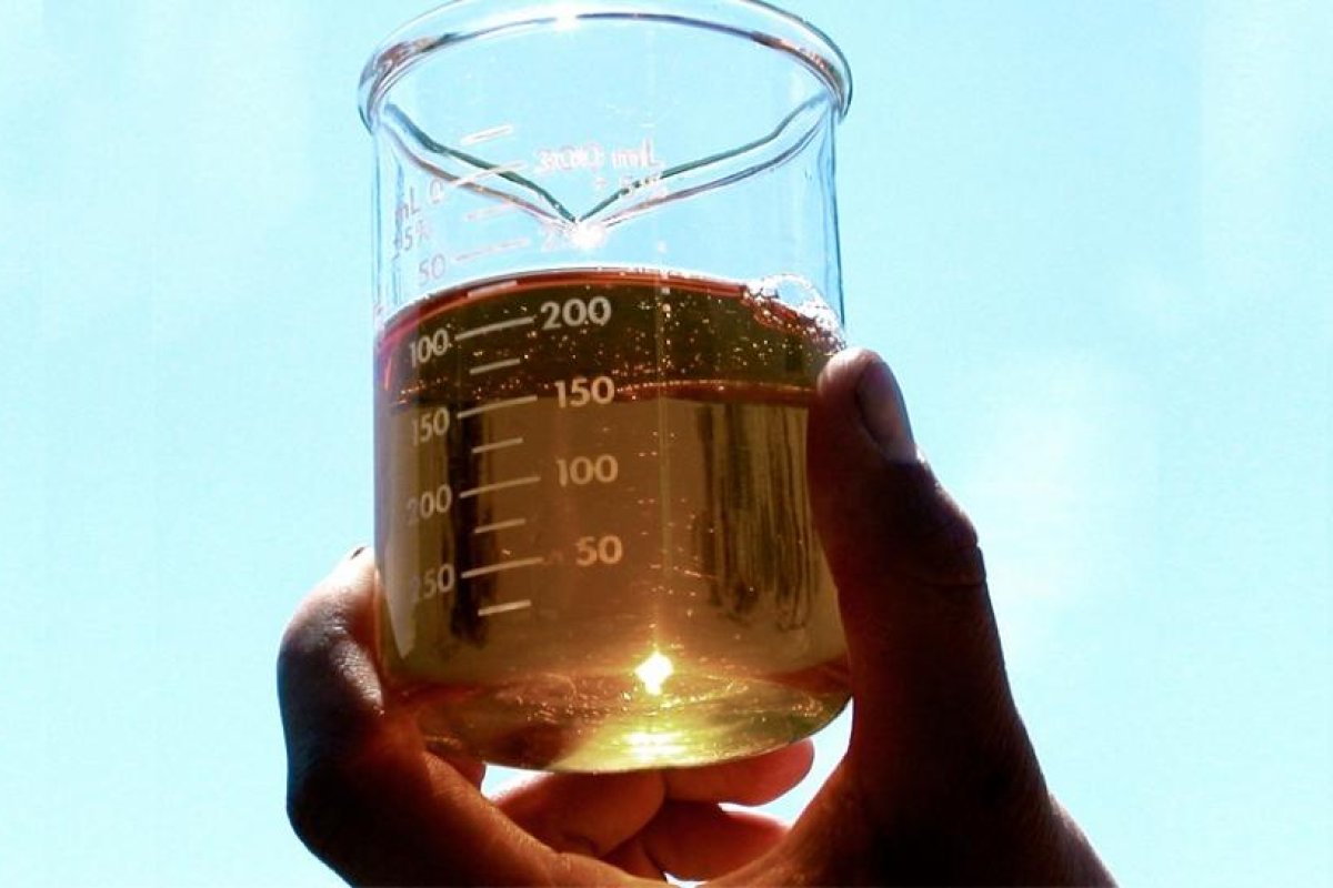 Impulsan el reemplazo del gasoil por biodiésel en el transporte de cargas