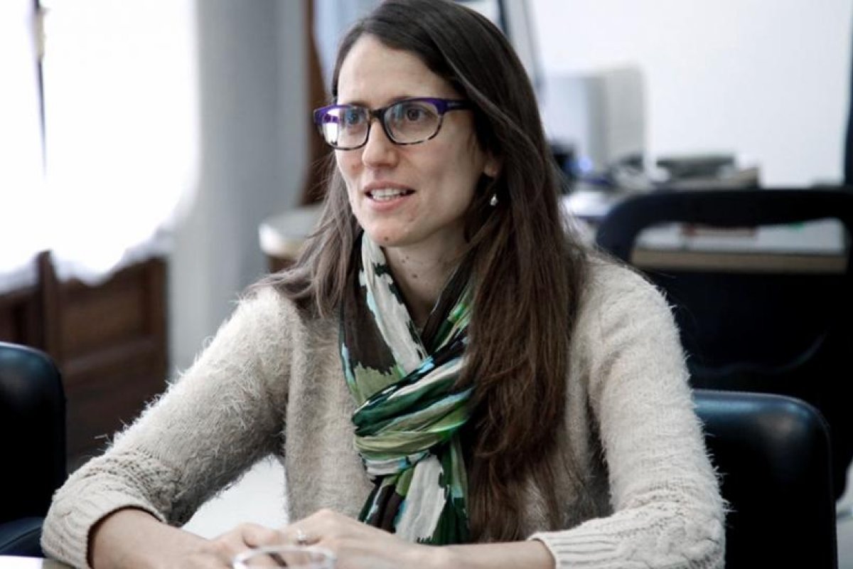 Gómez Alcorta: "A partir del 24 de enero la aplicación de la ley será inmediata"