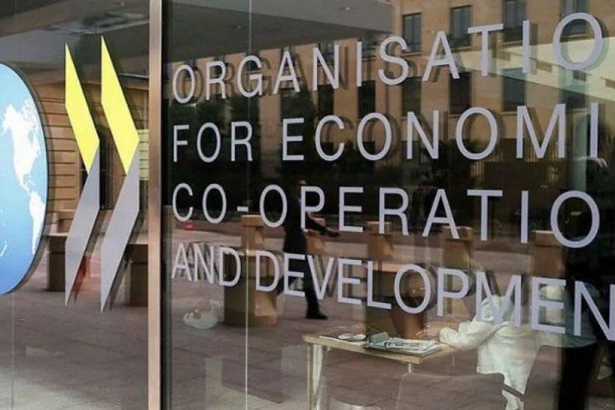 Avanza la OCDE con proyectos para gravar la economía digital