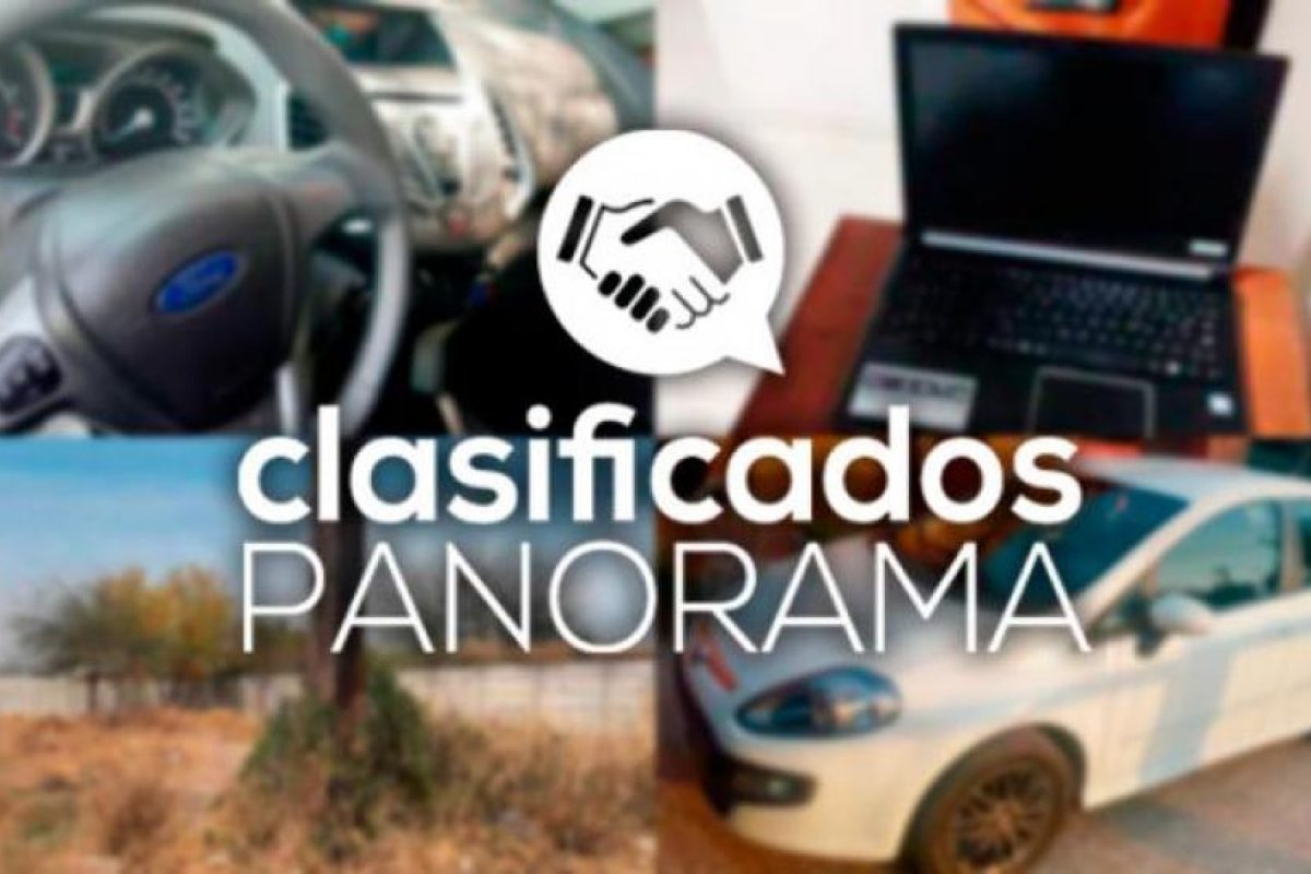 Clasificados Panorama: los anuncios más vistos de la semana