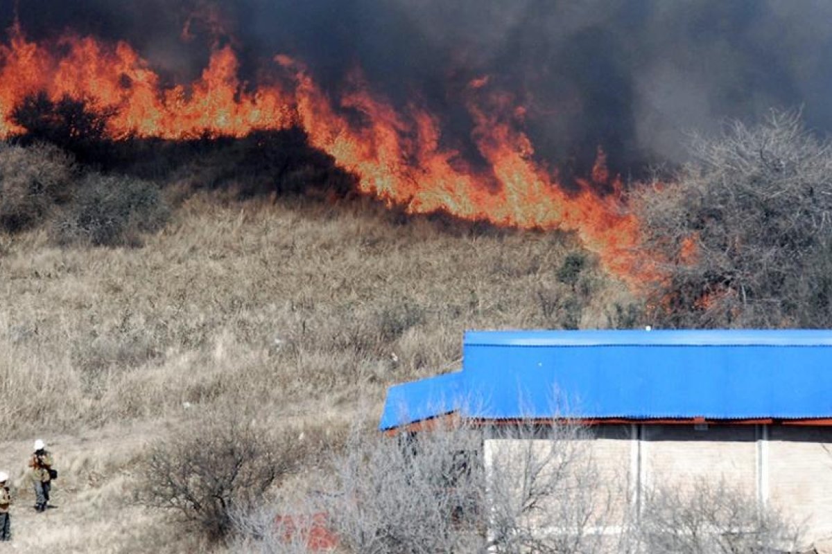Diputados debatirá el proyecto que prohíbe la venta de tierras incendiadas