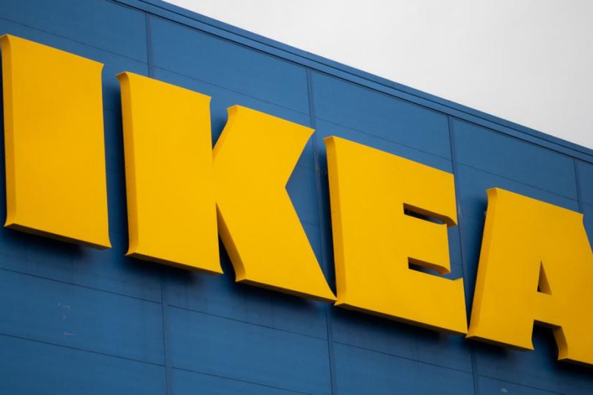 Albóndigas para insectos: IKEA ofrece una nueva propuesta ecológica para salvar especies en peligro de extinción