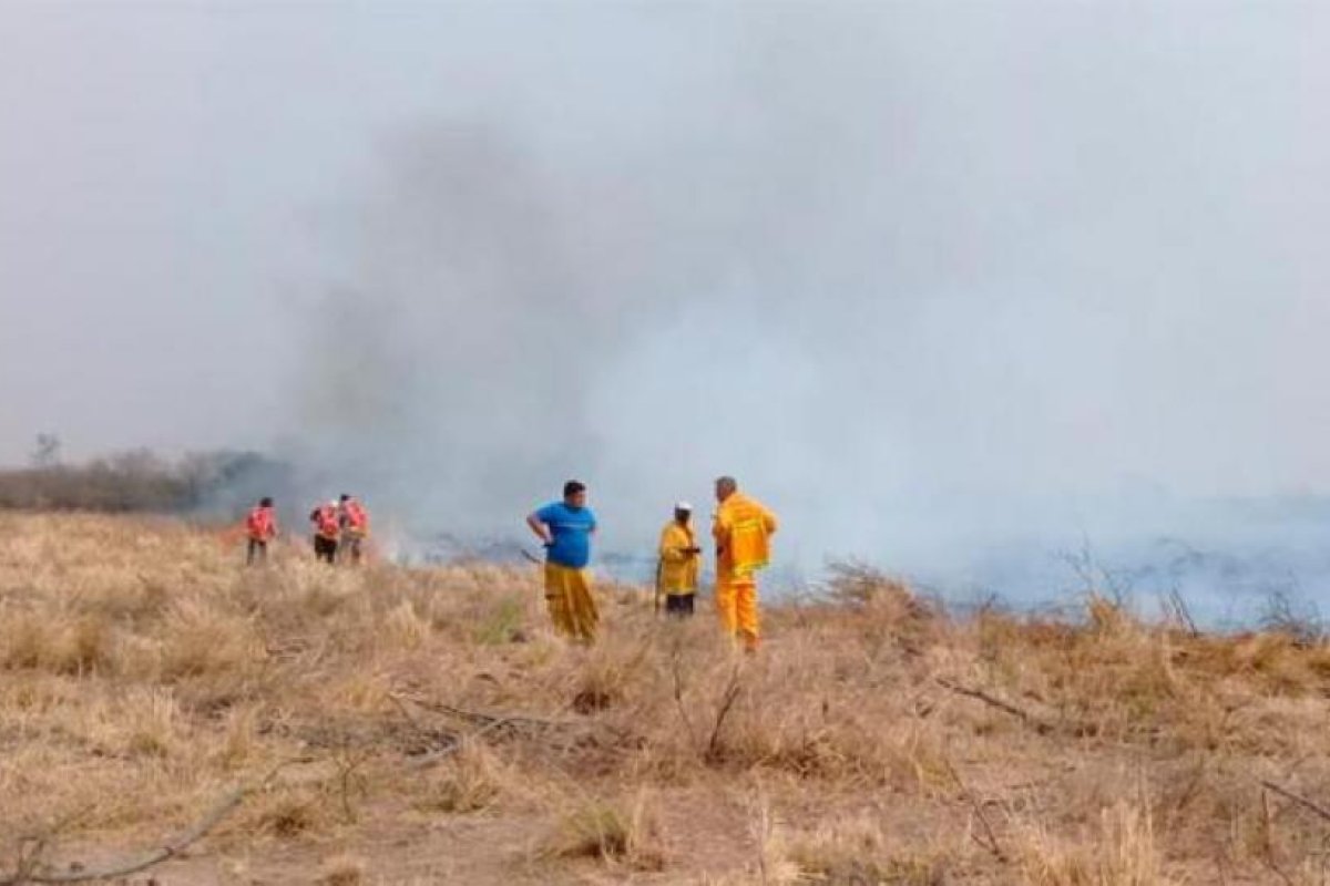 Añatuya: más de 40 hectáreas fueron consumidas por el fuego