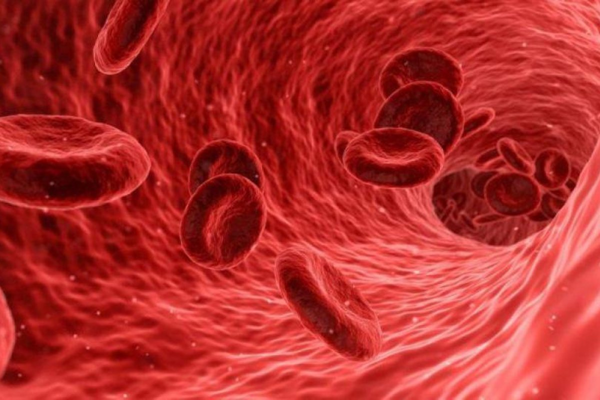 Coronavirus: descubren el mecanismo que provoca la micro-trombosis pulmonar