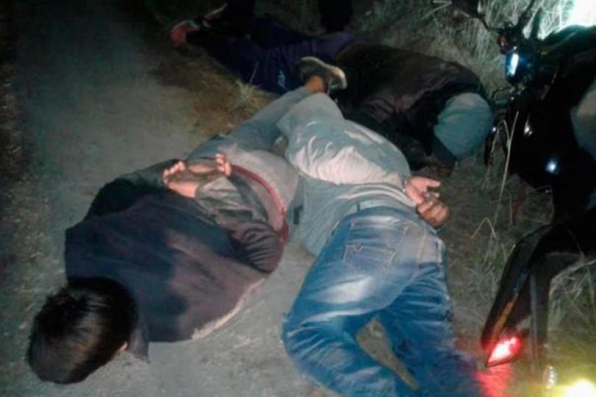 Robaban equinos e intentaron disparar contra la policía al ser sorprendidos