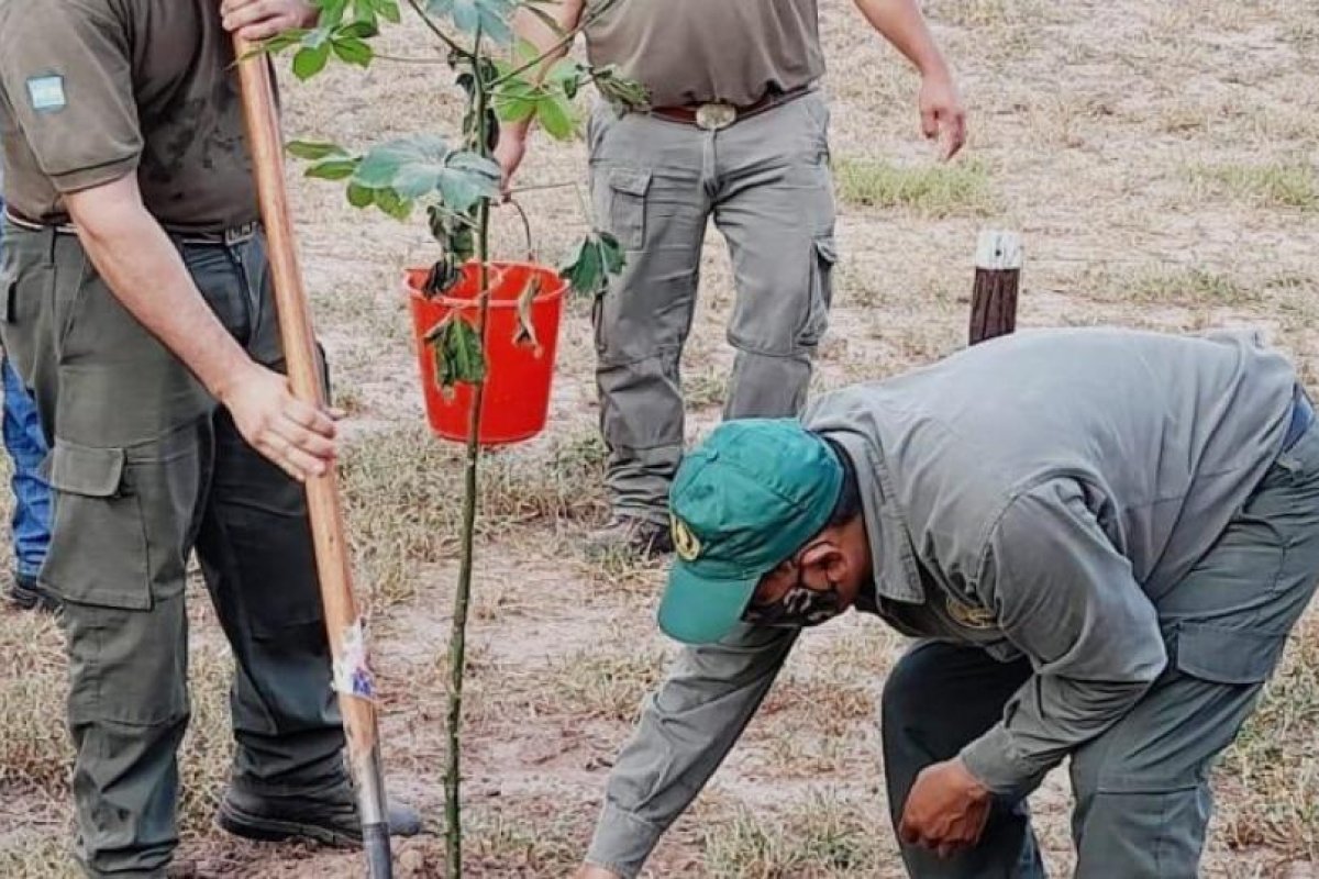 El intendente Jorge Mukdise realizó la donación de plantas del vivero municipal al Parque Nacional “Copo”