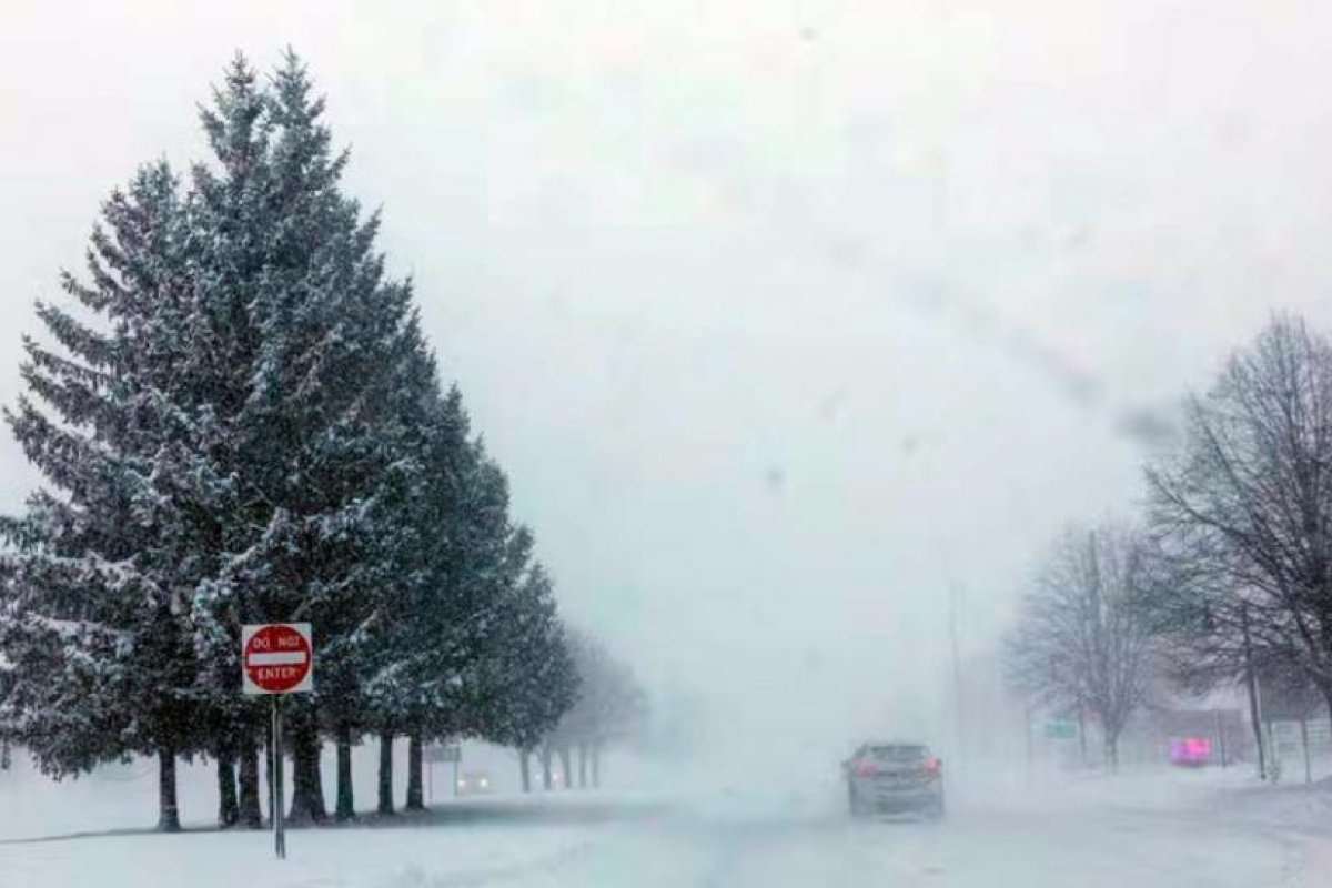 Impacto del Vórtice Polar en Estados Unidos: Frío Extremo y Neblina