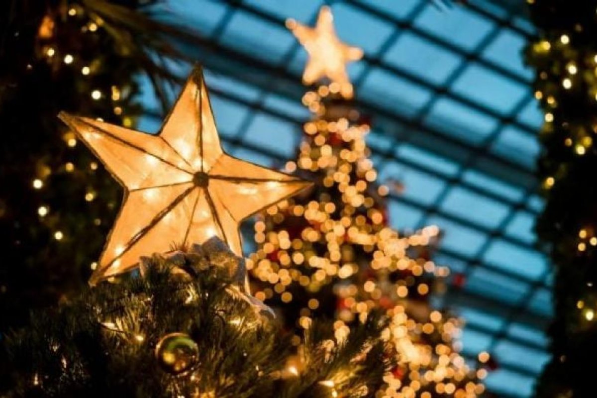 Rituales Navideños a la Medianoche: Significado y Tradiciones Globales