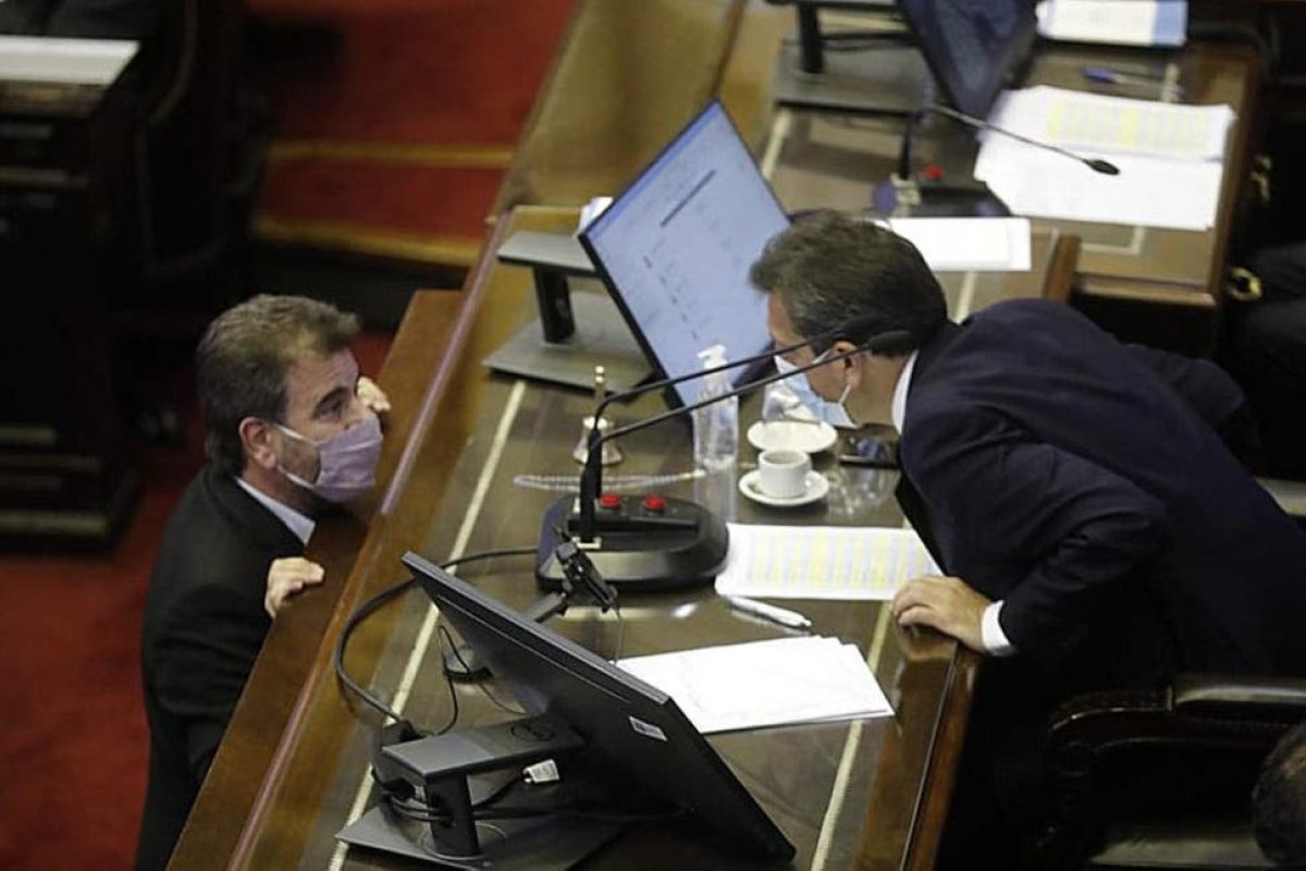 Fin de año caliente en el Congreso: de la legalización del aborto a la suspensión de las PASO