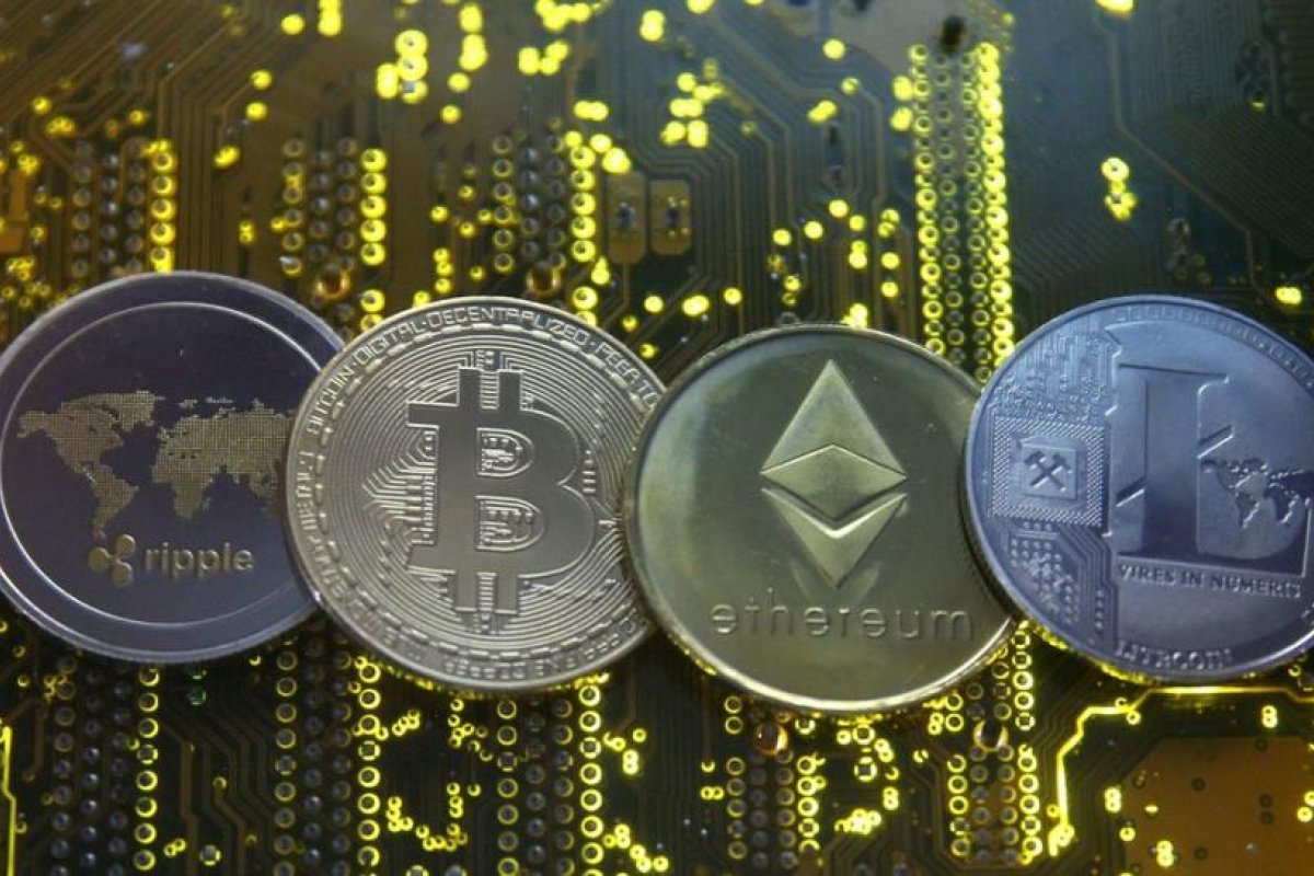 Una criptomoneda "absolutamente inútil" aumenta su valor hasta los 95.000 dólares (y la culpa la tiene un 'perro azul')